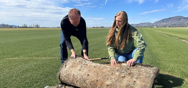 Father and daughter from Bos Sod Farms rolling grass turf on their farm